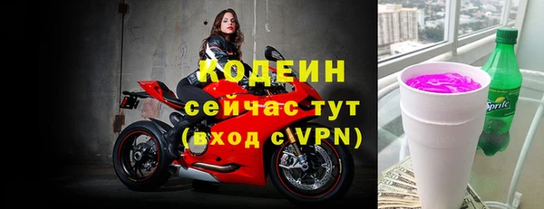 индика Сосновый Бор