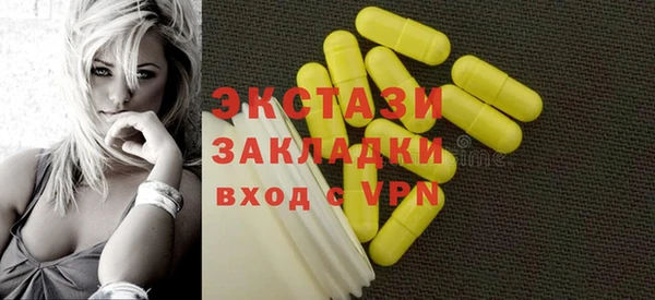 индика Сосновый Бор