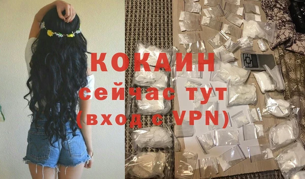 стафф Снежногорск