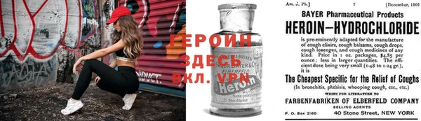 индика Сосновый Бор