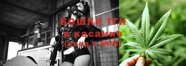стафф Снежногорск